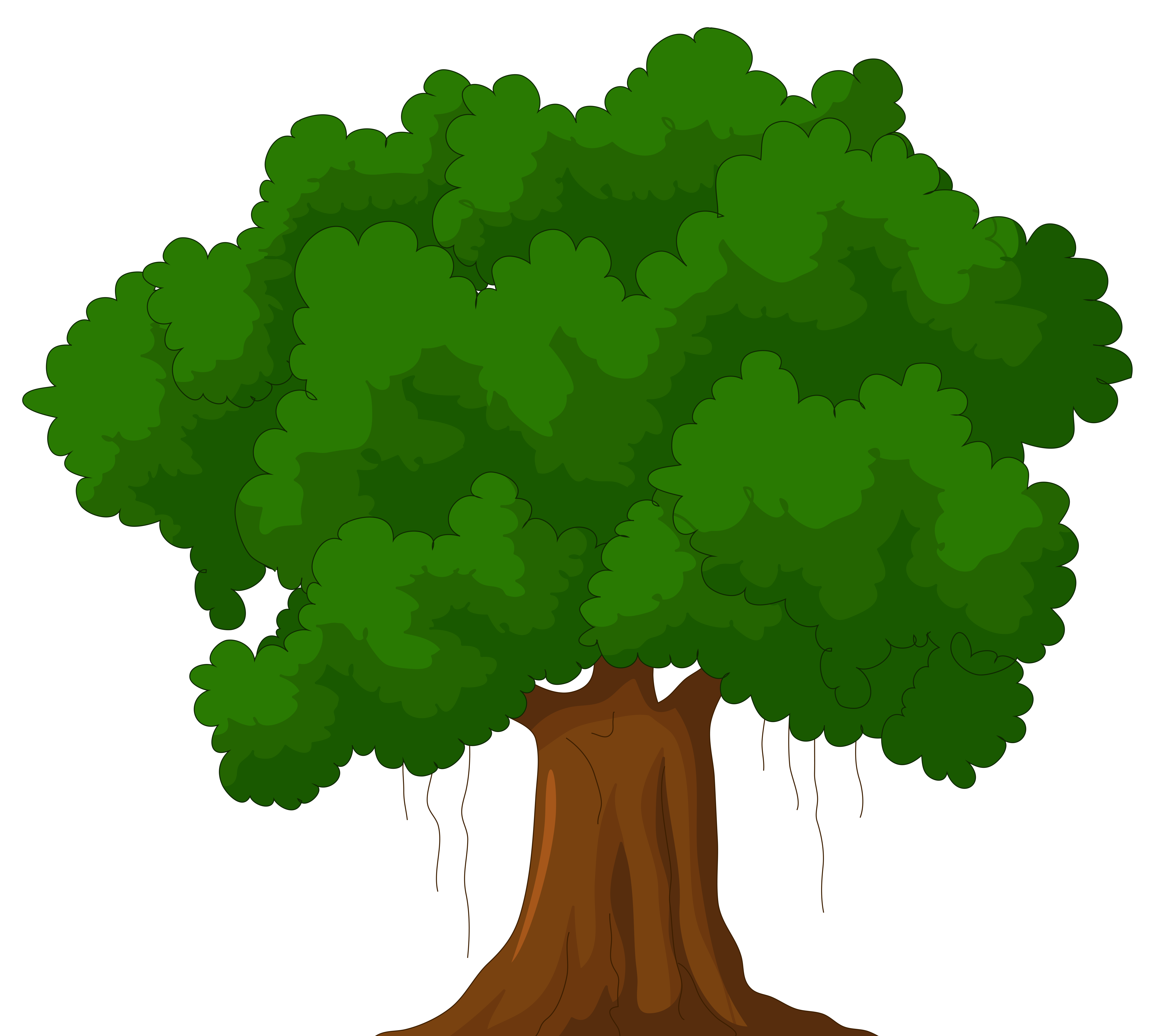 Trees and Nature